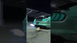 Roast chicken with car gass explosion fire🔥 #shorts #chicken #car