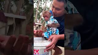 Dad helps Bibi and Lala catch fish #monkeybibi #shorts