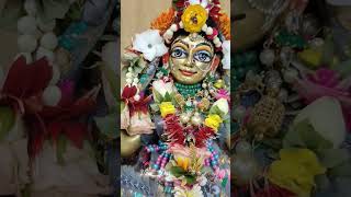 Daily Wonderful Radha Madhava Darshan #isckon #wonderful #radhakrishna #darshan #radhamadhav