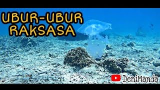 DnA. - JUMPA UBUR-UBUR RAKSASA DI PULO TUAN / TUAN ISLAND !!! FUNDIVE X SNORKLING. ACEH BESAR