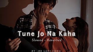 Tune jo na kaha | slowed | New York | Mohit Chauhan | lofi & reverb | BR LOFI SONG💙