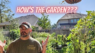 I've Been Gone for 5 Days, Did the Garden Survive? || DHBG