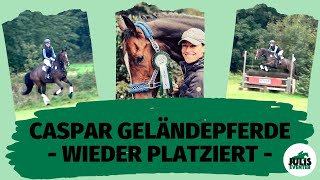 Bad Segeberg 2021 / Caspar wieder platziert in Geländepferde A / kommentiert!