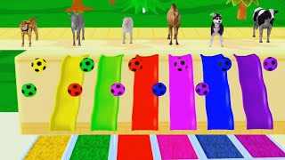 Colorful Animals Crossing Fountains | Tiger, Cow, Dog, Camel, Elephant | Animal Game | Blue Appu