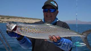 East Cape Fishing with Dave Marciano