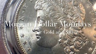 1899 NEW ORLEANS - HIGH GRADE - “MORGAN DOLLAR MONDAYS” with MASSABESIC GOLD and SILVER