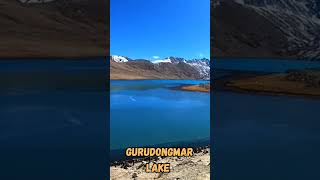 Gurudongmar lake|| Higest lake in India #travel #northsikkim#sikkim #gangtok #reels #shorts