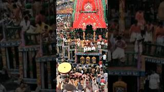 Bada Danda Dhuli Uduchhi 🚩|Ratha Yatra |Jhuli Jhuli Kie Asuchi |#shorts #rathyatra #puri #jagannath