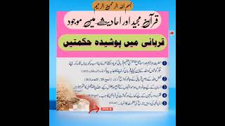 قربانی میں پوشیدہ حکمتیں #hadeesenabvi #quran #shortbest #reels #viral