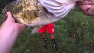 6.5 lb bass caught on a frog!