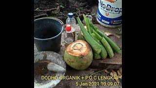 MEMANFAATKAN LIDAH BUAYA UNTUK MEMBUAT PERANGSANG AKAR DAN BUAH