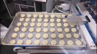 Wire cut cookie making machine #cookies #cookies #wirecut #snacks