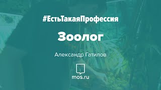 #ЕстьТакаяПрофессия. Зоолог