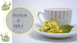 Зелёный чай - Польза и вред