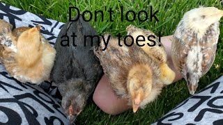 Don't look at my toes!