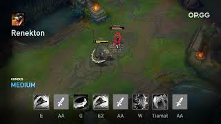 Renekton E+AA+Q+E2+AA+W+Tiamet+AA