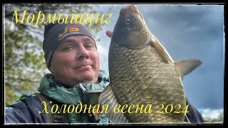 Мормышинг ! Холодный май 2024 !