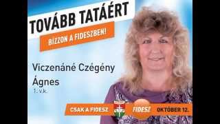 Viczenáné Czégény Ágnes képviselőjelölt bemutatkozója