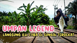 UMPAN MANCING LEGEND SIMPLE UNTUK IKAN TAWES/IKAN NILA/IKANBAUNG DAN LAIN-LAIN