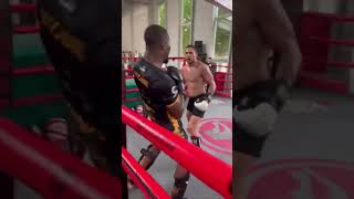 Alex Pereira GETS ANGRY & SMASHES Glory Kickboxer during sparring! 😡