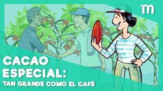 Cacao especial: tan grande como el café