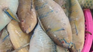 Sarap ng mga isda,napakarami🥰👍☝️@jonathansascvlog #subscribe #amazing #viral