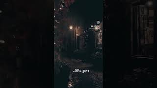 لا يؤنس قلبي