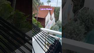 Room tour ( Lub d) | Best hostel in Phuket