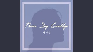 Never Say Goodbye (Man Version Instrumental)