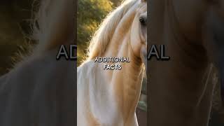 Discover the Majestic Arabian Horse: Amazing Facts Revealed!