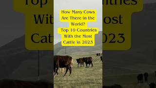 Discover the World's Cattle Powerhouses in 2023!  #cows #worldfact #animallove