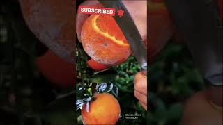 #oddlysatisfying #shorts oranges fruit cutting fruits#shorts video