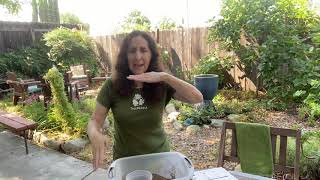 Learn How to Do A Soil Texture Test at Home