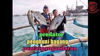 mancing di spot bagang pantai timur pangandaran