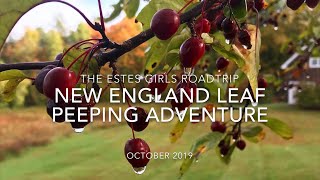 Leaf Peeping! A New England Autumn Road Trip