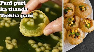 Pani Puri Ka Pani Banane Ka Aasan Tarika | पाणीपुरी का चटपटा तीखा और मिठा पानी | Cook with Sumi's