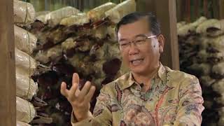 DR LIM FIRST MEET GANODERMA