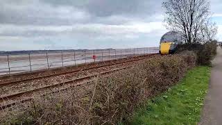 Trains & Buses Starcross