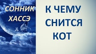 К чему снится кот. Сонник Хассэ. Толкование снов.