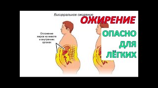 Лишний ВЕС опасен для ЛЁГКИХ. Нарушение работы ОРГАНОВ ДЫХАНИЯ при ОЖИРЕНИИ / Фролов Ю.А.