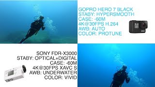 GoPro Hero 7 Black vs. Sony FDR-X3000 (Underwater)