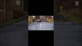 Skokomish River salmon cross the road