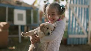 Introducing Your Golden Retriever to Small Pets