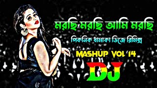 মরছি মরছি আমি মরছি vs যৌবন থাকিতে বন্ধু আইলা না Dj | Trance Remix | Tiktok Dj Song | Bangla Dj Gan