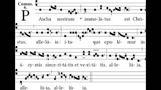 Pascha Nostrum