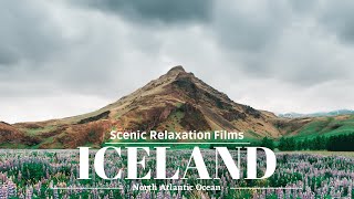 Iceland in 4K ULTRA HD  - Scenic Relaxation Films with Music