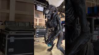 Xenomorfo de Alien: Romulus é um Animatrônico