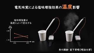 【エンタテインメントコンピューティング2022】電気味覚による塩味増強効果の温度影響