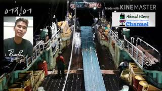 Fishing Korea | Kapal Trowl Cumi Korea Selatan