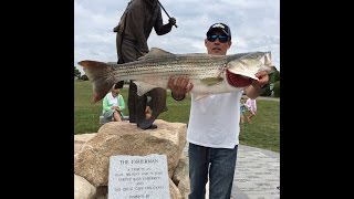 Striped bass fishing  What are they eating ? NOT for everybody